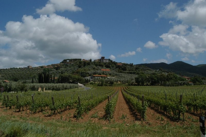 BIBBONA CAMPAGNA